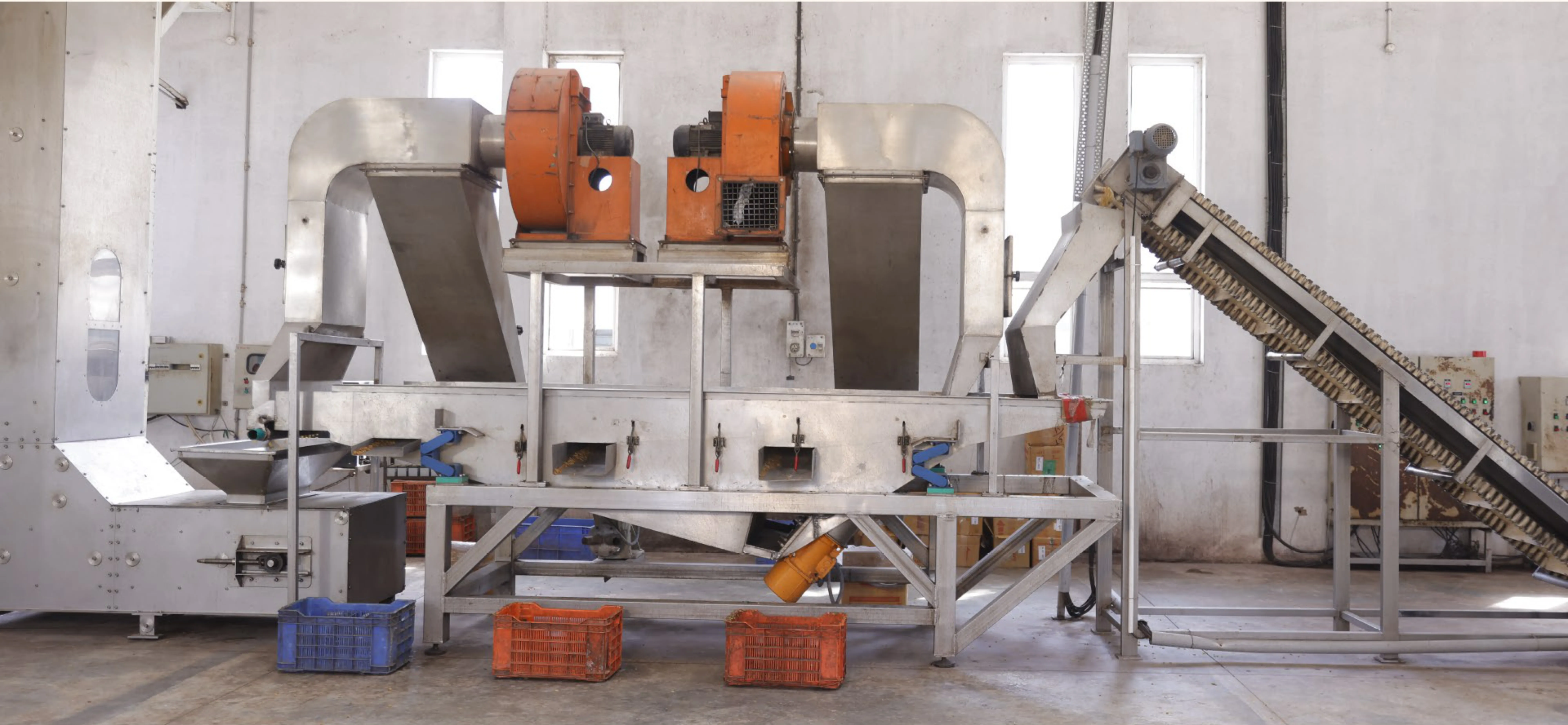 Raisins Exporter from india